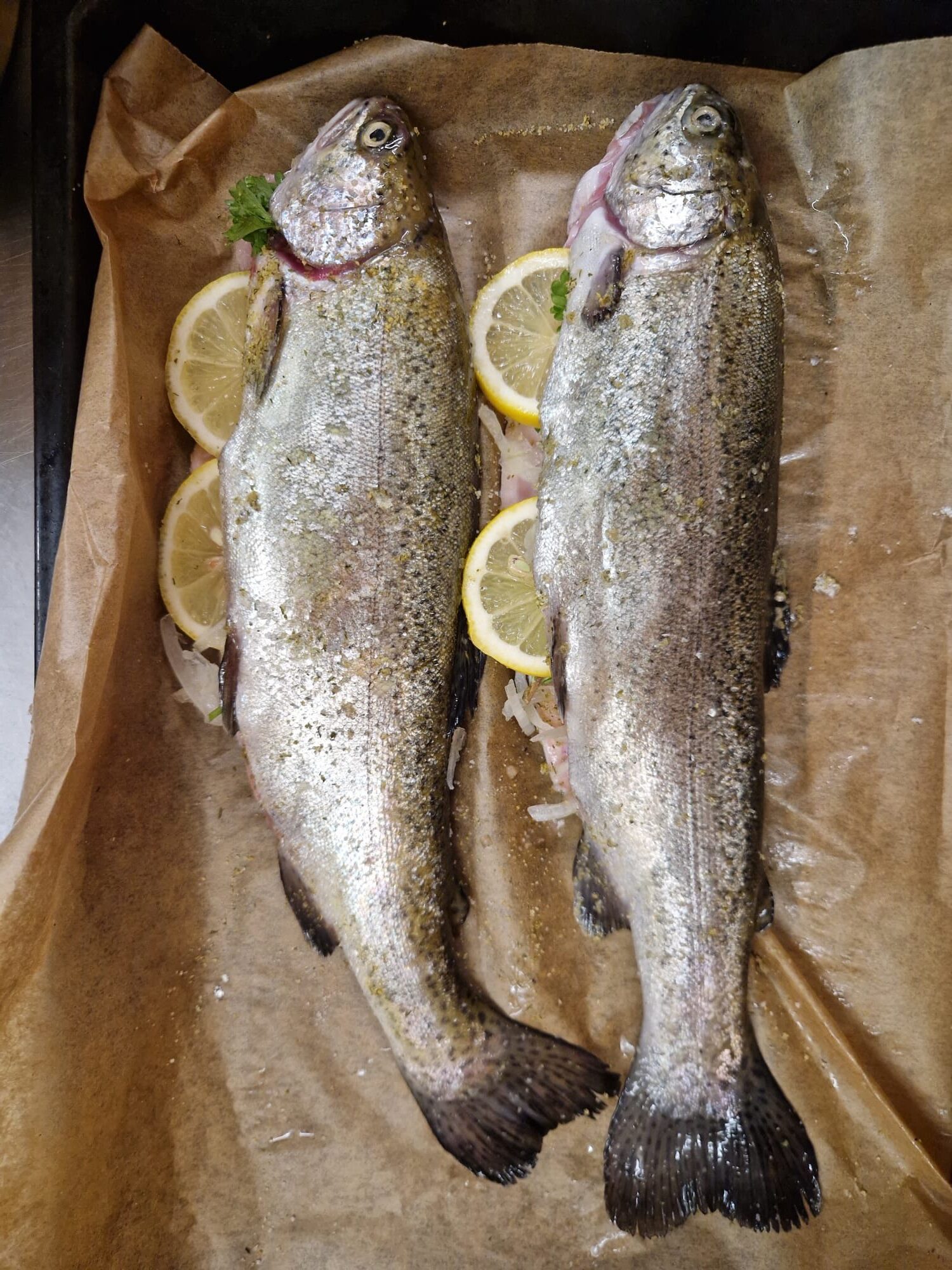 WhatsApp Image 2025-10-26 at 11.13.30 WhatsApp Image 2025-10-26 at 11.13.30