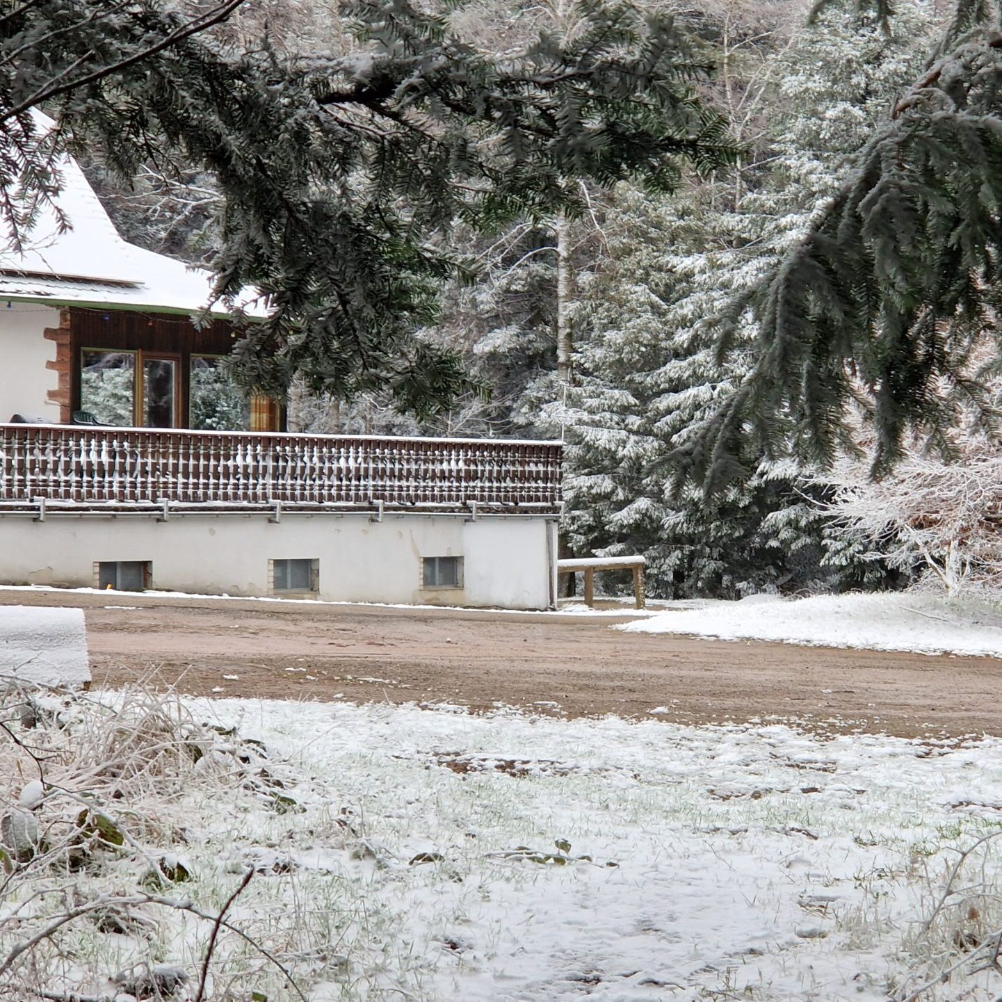 Erste schnee Erste schnee